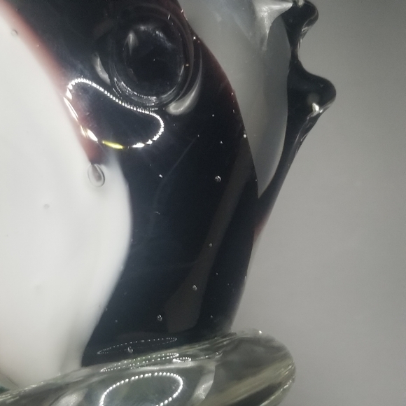 Glass fish - Picture 13 of 16